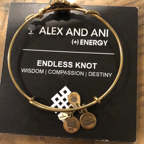 Alex and Ani Endless Knot wrap bracelet - Picture 2 of 3